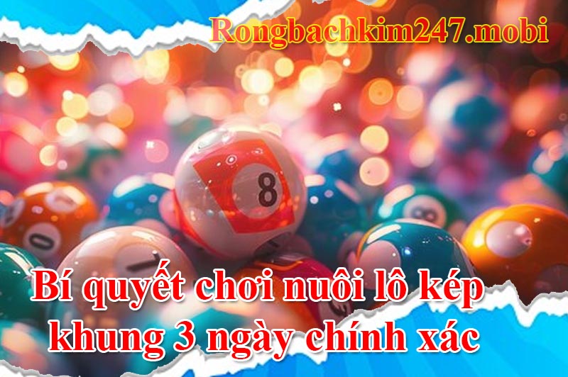 Bí quyết chơi nuôi lô kép khung 3 ngày chính xác