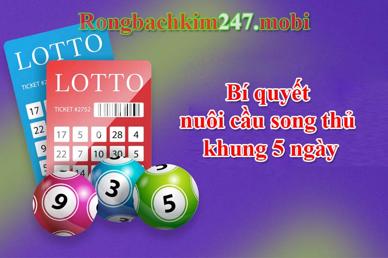 Bí quyết nuôi cầu song thủ khung 5 ngày